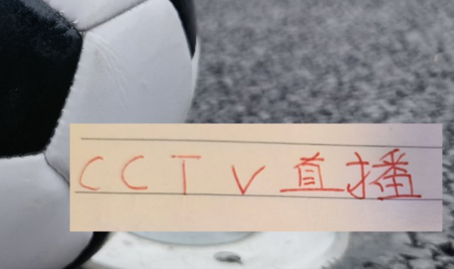开云官网-喜讯！海港的比赛有CCTV直播 再加上加布里回春 上海德比能稳吗