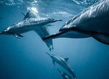 开云体育：以体验驱动运动生活的新纪元